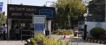 mother dairy