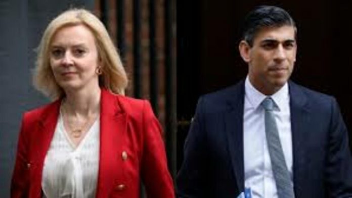 download 14 1200x675