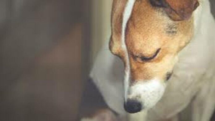 download 2022 11 02T211834.118 1200x675