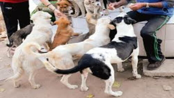 download 21 1200x675