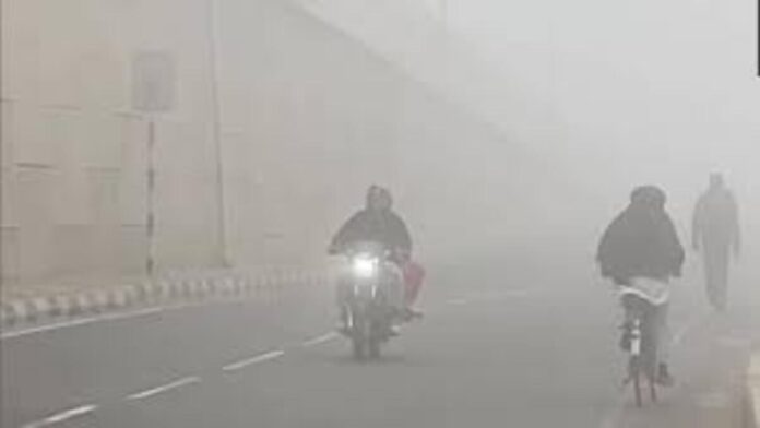 download 50 1200x675