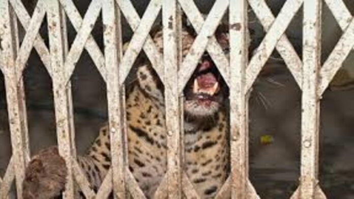 download 41 1200x675