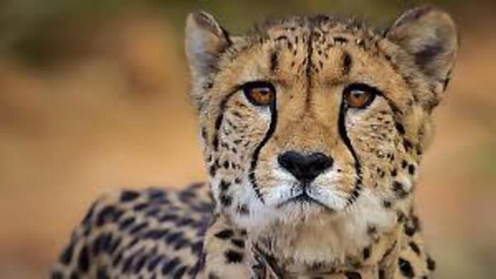 download 27 1200x675