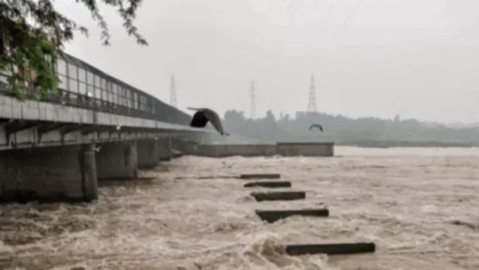 101622770 1200x675 1