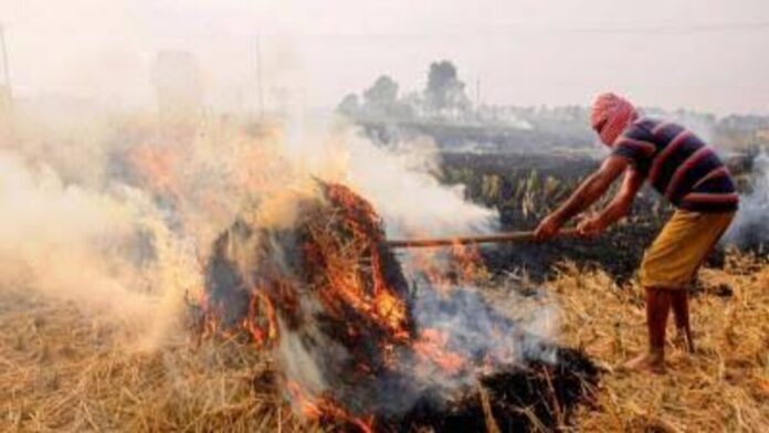 images 2023 11 09T103631.402