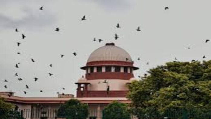 images 2024 12 20T222056.061 1200x675