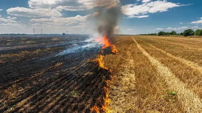 Stubble Burning 1200x675